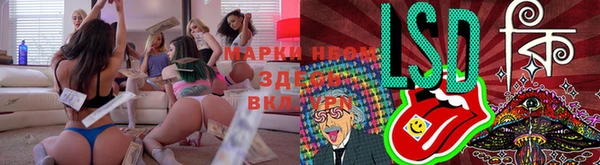 спиды Вязьма