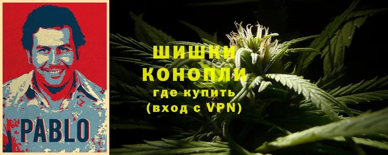 МАРИХУАНА Amnesia  где купить наркоту  Кириши 